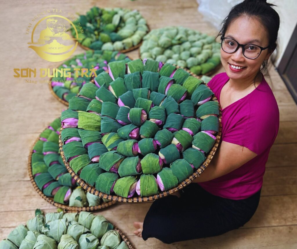 Trà Thái Nguyên, Sơn Dung Trà